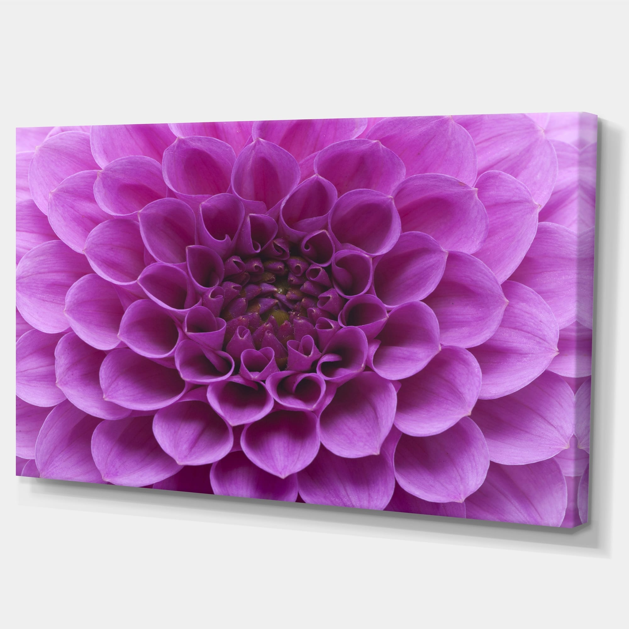 Designart "Large Light Purple Flower and Petals" Modern Floral Canvas